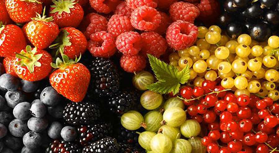 Fiesta Nacional de la Fruta Fina, bellos parajes para conocer