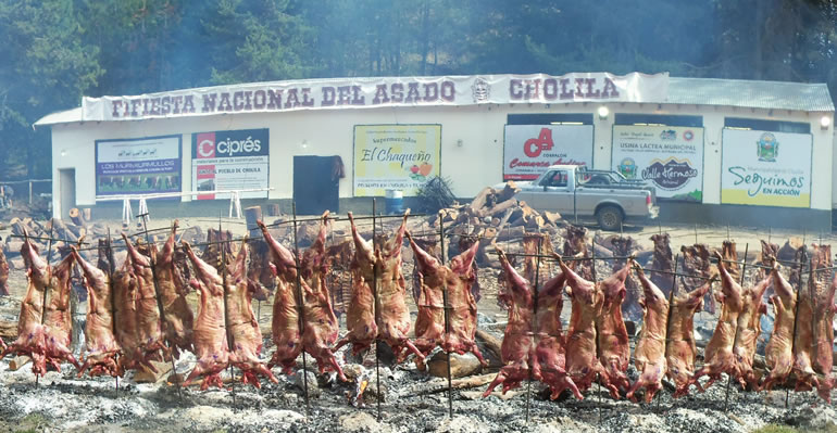 Fiesta Nacional del Asado: esencia gauchesca