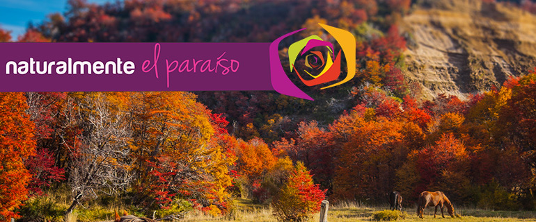 San Martín de los Andes por Ruta de los 7 Lagos