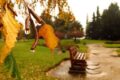 Qué se puede hacer en Bariloche con lluvia