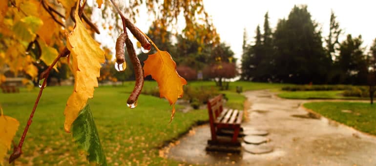 Qué se puede hacer en Bariloche con lluvia