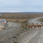 Errores comunes de los turistas al manejar en la Patagonia